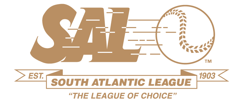 South Atlantic League 2009-Pres Primary Logo iron on transfers for T-shirts